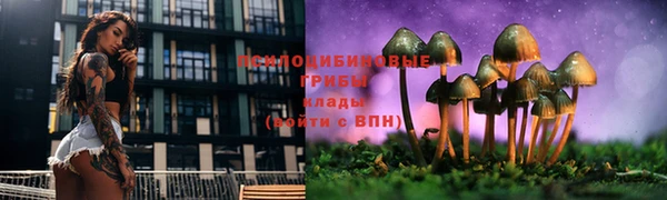 стаф Лагань