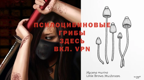 стаф Лагань