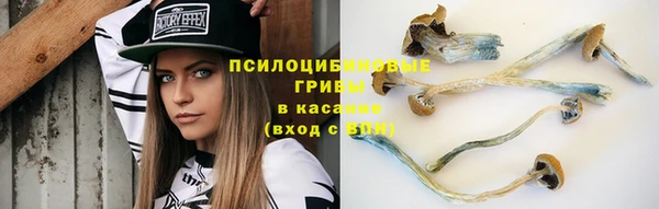 герыч Ладушкин