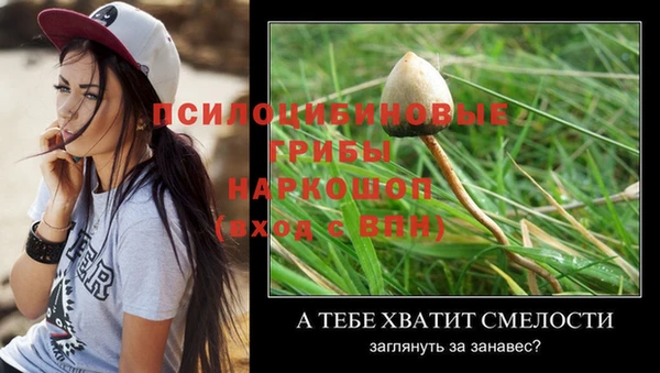 стаф Лагань