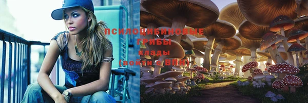 герыч Ладушкин