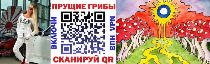 Купить  Белоярский  Галлюциногенные грибы Psilocybine cubensis 